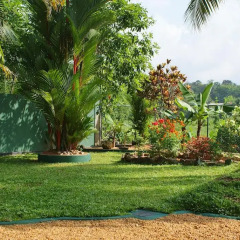 Отель Lanka Rose Guest House Шри-Ланка, Берувела - отзывы, цены и фото номеров - забронировать отель Lanka Rose Guest House онлайн фото 13