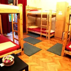 Hostel and Apartments Skadarlija Sunrise Кровать в общем номере с двухъярусной кроватью фото 3