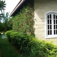 Отель Pictory Garden Resort 3* Коттедж с разными типами кроватей фото 13