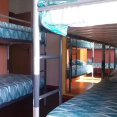 Отель Martin's Lodge Кровать в общем номере фото 19