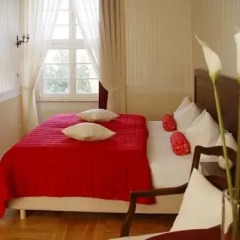 Hotel Altes Hafenhaus 3* Стандартный номер с двуспальной кроватью