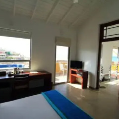 Отель The Ocean Front 3* Номер Делюкс с различными типами кроватей фото 6