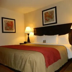 Отель Comfort Inn Farmington 2* Стандартный номер с различными типами кроватей фото 2