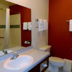 Отель Comfort Inn Farmington 2* Стандартный номер с различными типами кроватей фото 3