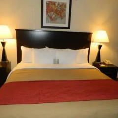 Отель Comfort Inn Farmington 2* Стандартный номер с различными типами кроватей