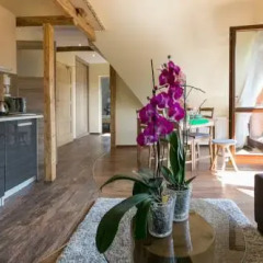 Отель Vip Apartamenty Widokowe Апартаменты фото 14