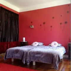 Hostel Graca 28 Стандартный номер фото 6