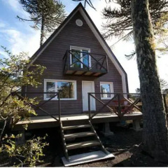 Отель Lodge Conguillio 2* Бунгало с различными типами кроватей