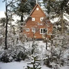 Отель Lodge Conguillio 2* Бунгало с различными типами кроватей фото 4
