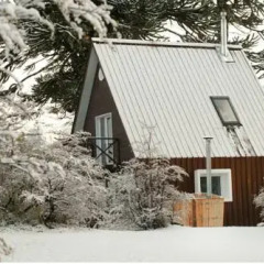 Отель Lodge Conguillio 2* Бунгало с различными типами кроватей фото 6
