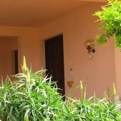 Отель B&B Paradiso a 4 Zampe Стандартный номер фото 3