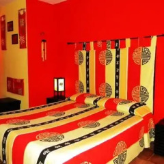 Отель B&B Paradiso a 4 Zampe Стандартный номер фото 2