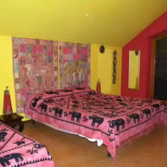 Отель B&B Paradiso a 4 Zampe Стандартный номер фото 12