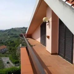 Отель B&B Paradiso a 4 Zampe Стандартный номер фото 9