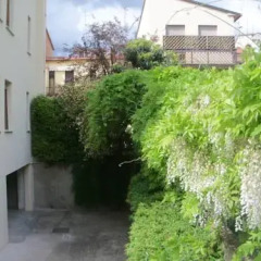 Отель B&B Mino Da Poppi Стандартный номер фото 16