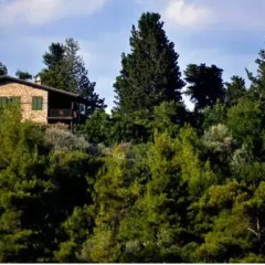 Отель Seki Cottages Вилла фото 26