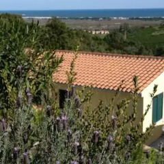 Отель Punta Lizzu Апартаменты фото 7