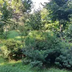 Hotel Villa Maria Luigia 2* Стандартный номер с различными типами кроватей фото 24