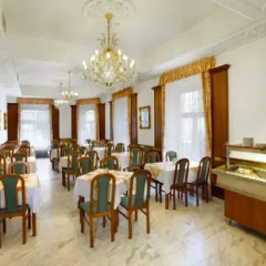 Spa Hotel Labe 2* Номер Комфорт с различными типами кроватей фото 7