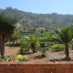 Отель Vivecanarias Rural Бунгало с разными типами кроватей фото 31