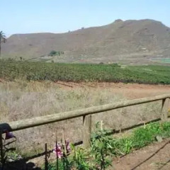 Отель Vivecanarias Rural Бунгало с разными типами кроватей фото 26