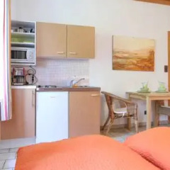 Отель Domizil Wien - Cityapartments Улучшенная студия с различными типами кроватей фото 16