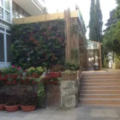 Апартаменты Svetlana Apartments Апартаменты