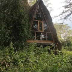 Отель Oasis Eco Camp 3* Коттедж с различными типами кроватей