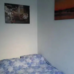 Little Wing Hostel 3* Стандартный номер фото 3