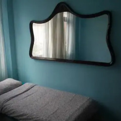 Little Wing Hostel 3* Номер Делюкс фото 8