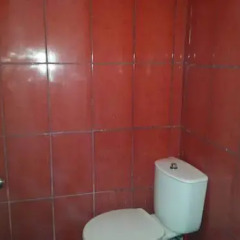 Little Wing Hostel 3* Номер Делюкс фото 6