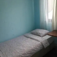 Little Wing Hostel 3* Номер Делюкс фото 7