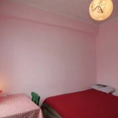 Little Wing Hostel Стандартный номер разные типы кроватей фото 2