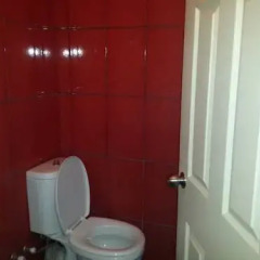 Little Wing Hostel Номер Делюкс разные типы кроватей фото 5