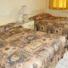 Отель El Dorado Inn 3* Стандартный номер с различными типами кроватей