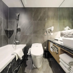 Tmark Grand hotel Myeongdong 4* Представительский номер с различными типами кроватей фото 2