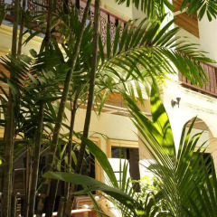Отель Nanai Villa