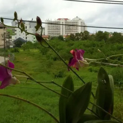 Отель Baan Tonnam Guesthouse