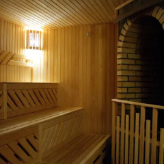 Dion Hotel сауна