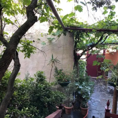 Отель Guest House Dzevera Грузия, Тбилиси - отзывы, цены и фото номеров - забронировать отель Guest House Dzevera онлайн фото 2