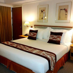The Dynasty Hotel 3* Представительский номер с различными типами кроватей