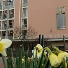 Отель Derag Livinghotel De Medici Германия, Дюссельдорф - 1 отзыв об отеле, цены и фото номеров - забронировать отель Derag Livinghotel De Medici онлайн фото 2