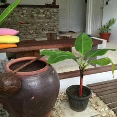 Отель Isola Guest House Остров Гасфинолу спа