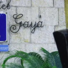 Hotel Gaya развлечения