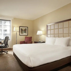 Отель Hilton San Francisco Union Square 4* Стандартный номер с двуспальной кроватью
