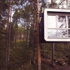 Tree Hotel 5* Бунгало с различными типами кроватей
