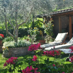 Отель Villa Le Casaline Сполето фото 4
