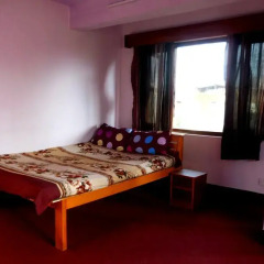 Отель Monkey Temple Backpackers Hostel Непал, Катманду - отзывы, цены и фото номеров - забронировать отель Monkey Temple Backpackers Hostel онлайн комната для гостей фото 4