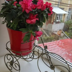 Хостел Колесо Одесса фото 4