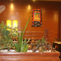 Отель Peace Palace Nepal Непал, Лумбини - отзывы, цены и фото номеров - забронировать отель Peace Palace Nepal онлайн гостиничный бар
